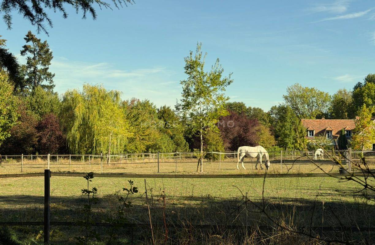 Hippisch vastgoed Koop Yvelines