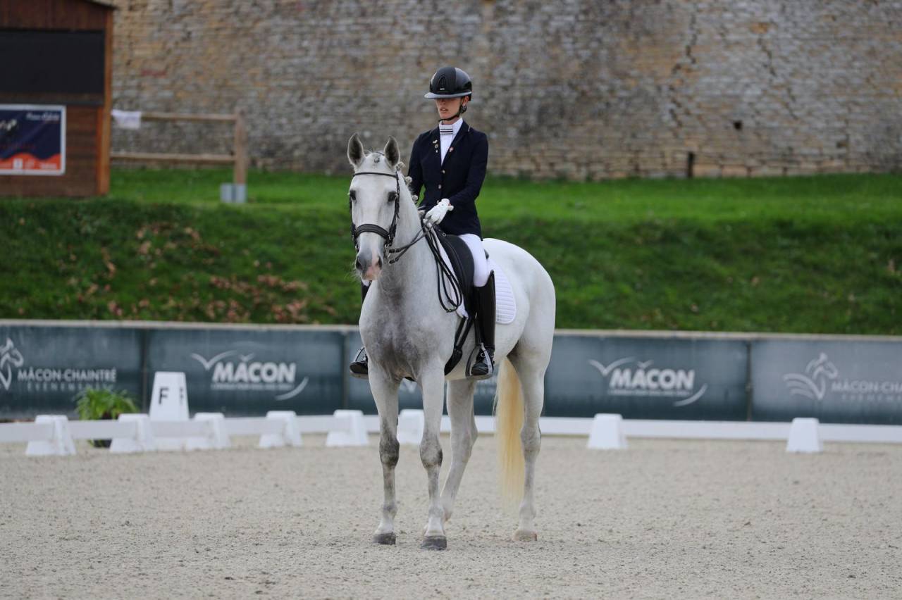 Ruin Lusitano Te koop 2014 Schimmel ,  Alamo SDS