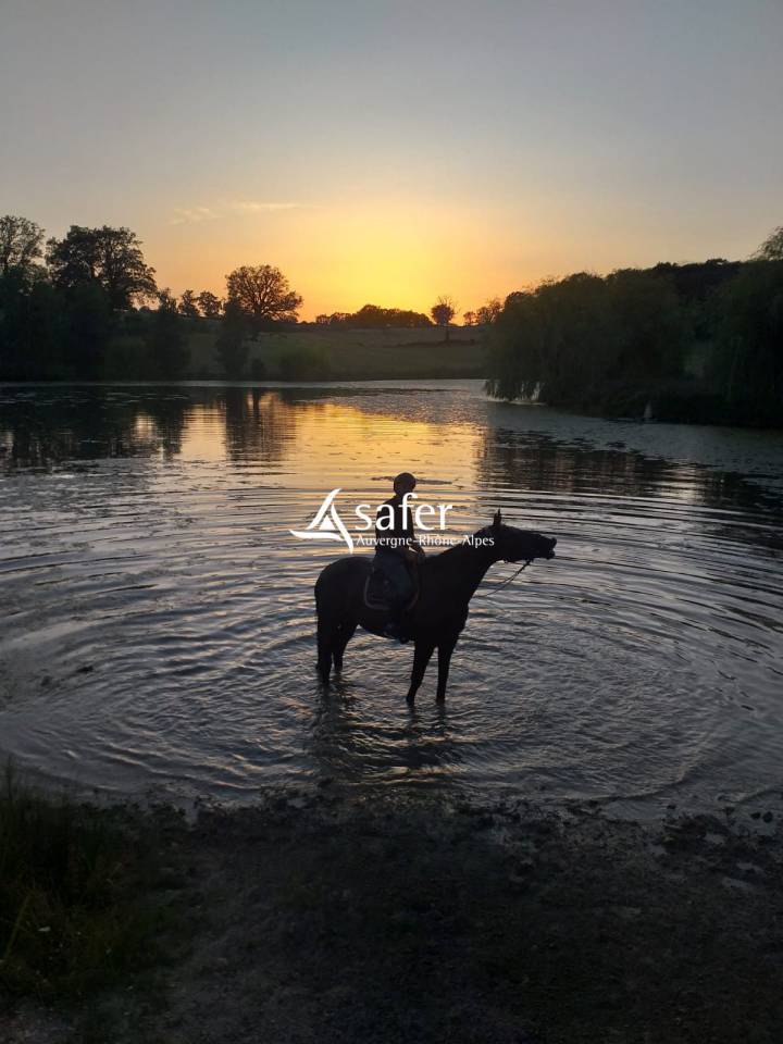Ander plattelands vastgoed Koop Allier