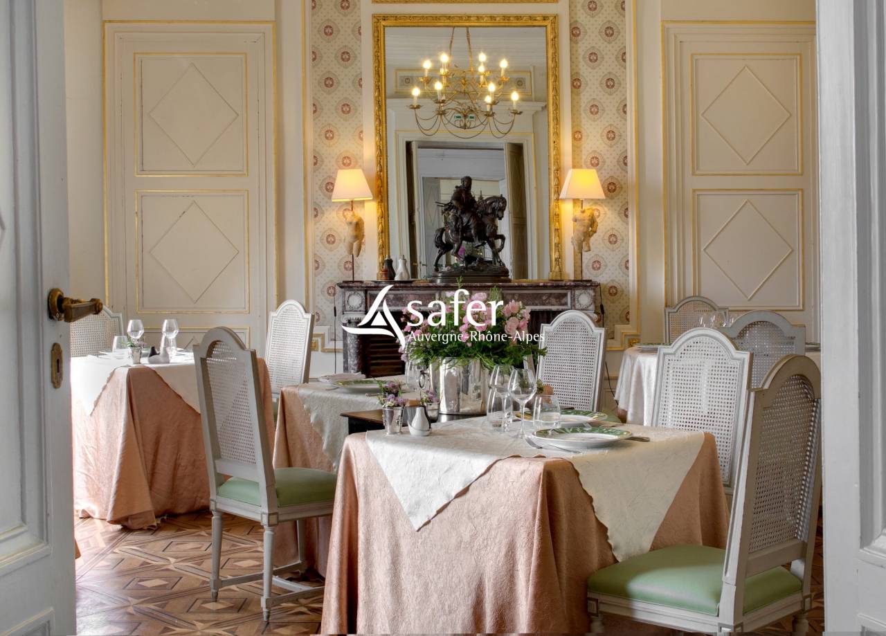 Ander plattelands vastgoed Koop Allier