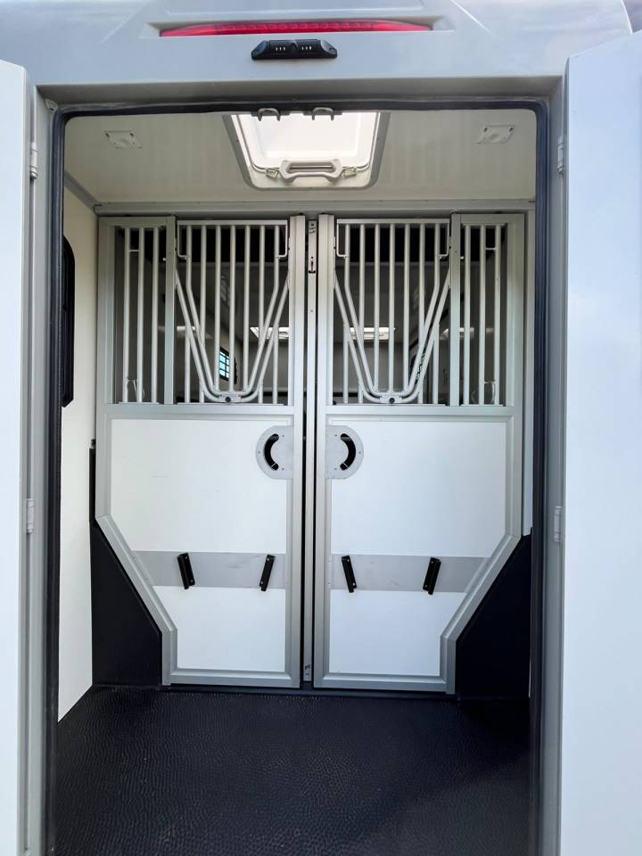 Kleine paardenvrachtwagen (B rijbewijs) Theault   Renault Master  - THEAULT Proton 5L 2023 Tweedehands