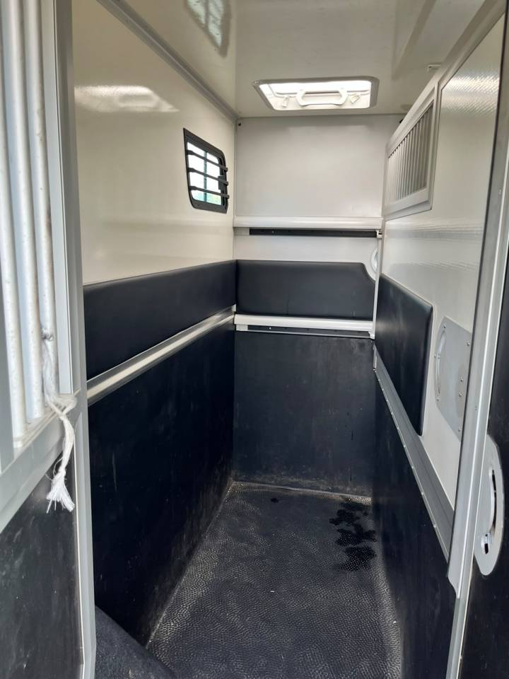 Kleine paardenvrachtwagen (B rijbewijs) Theault   Renault Master  - THEAULT Proton 5L 2023 Tweedehands