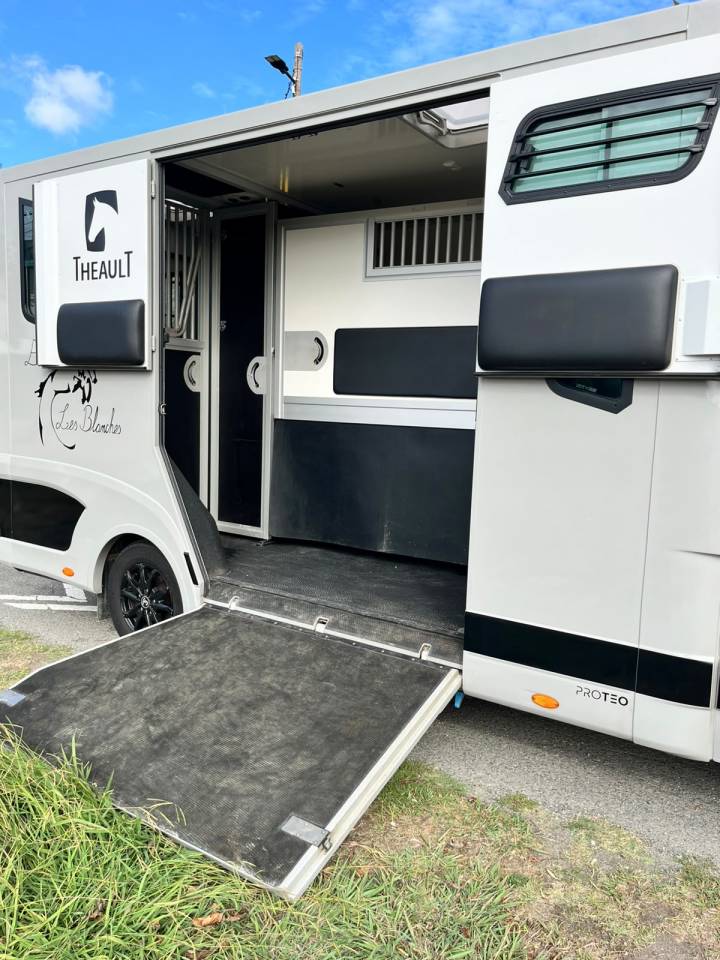 Kleine paardenvrachtwagen (B rijbewijs) Theault   Renault Master  - THEAULT Proton 5L 2023 Tweedehands