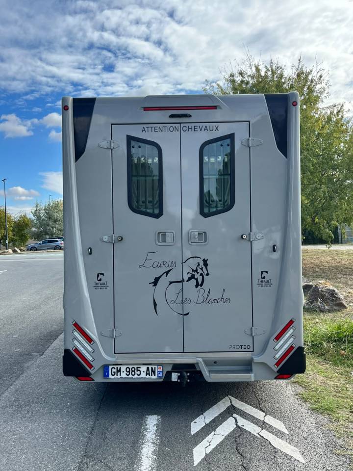 Kleine paardenvrachtwagen (B rijbewijs) Theault   Renault Master  - THEAULT Proton 5L 2023 Tweedehands