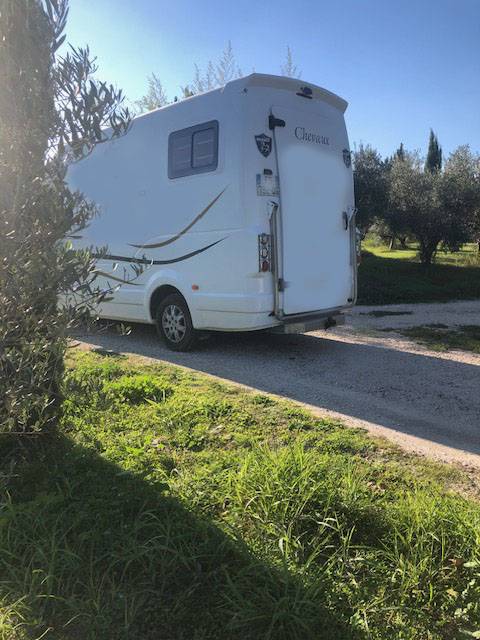 Kleine paardenvrachtwagen (B rijbewijs) Renault barbot XL 2020 Tweedehands