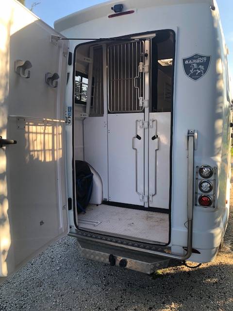 Kleine paardenvrachtwagen (B rijbewijs) Renault barbot XL 2020 Tweedehands