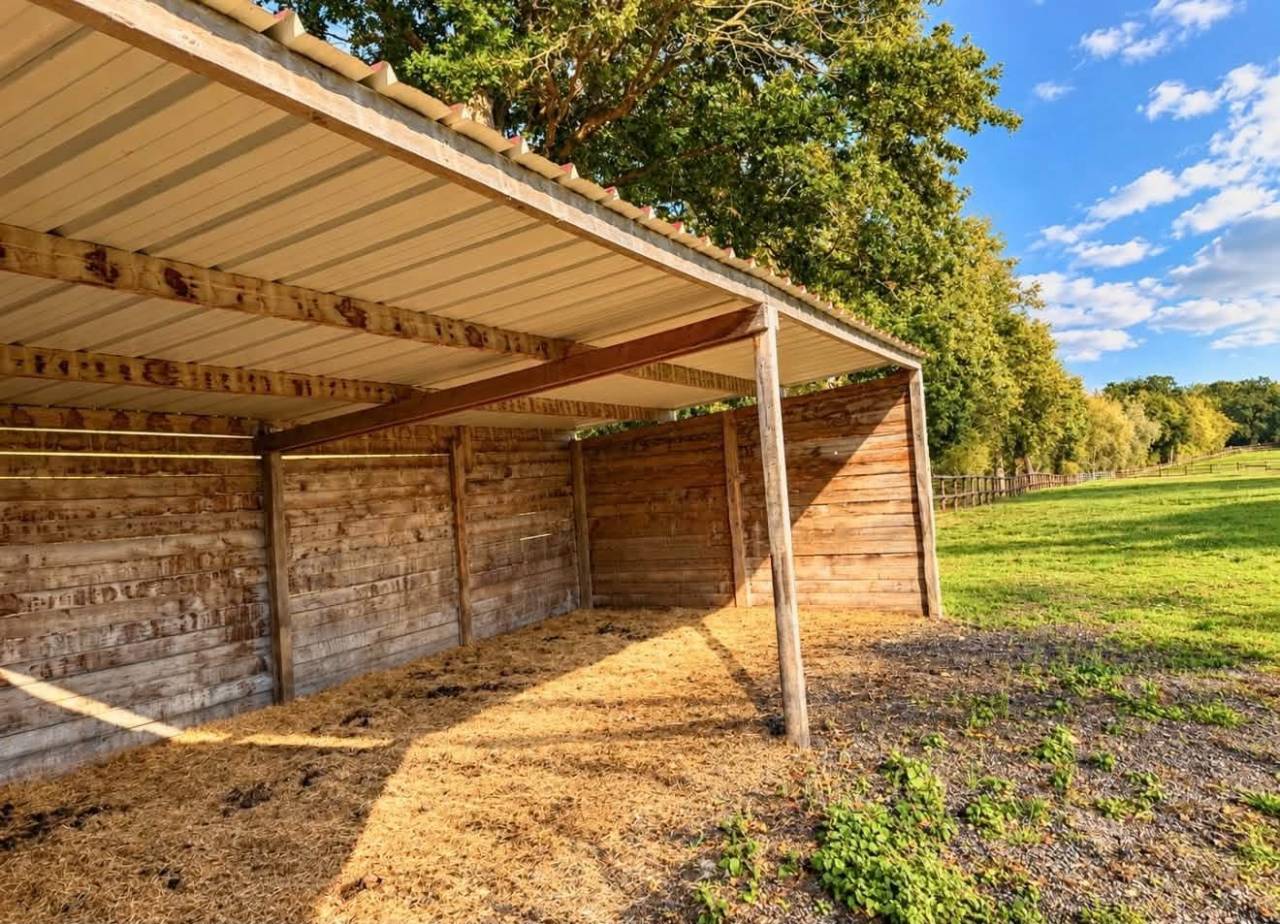 Hippisch vastgoed Koop Calvados