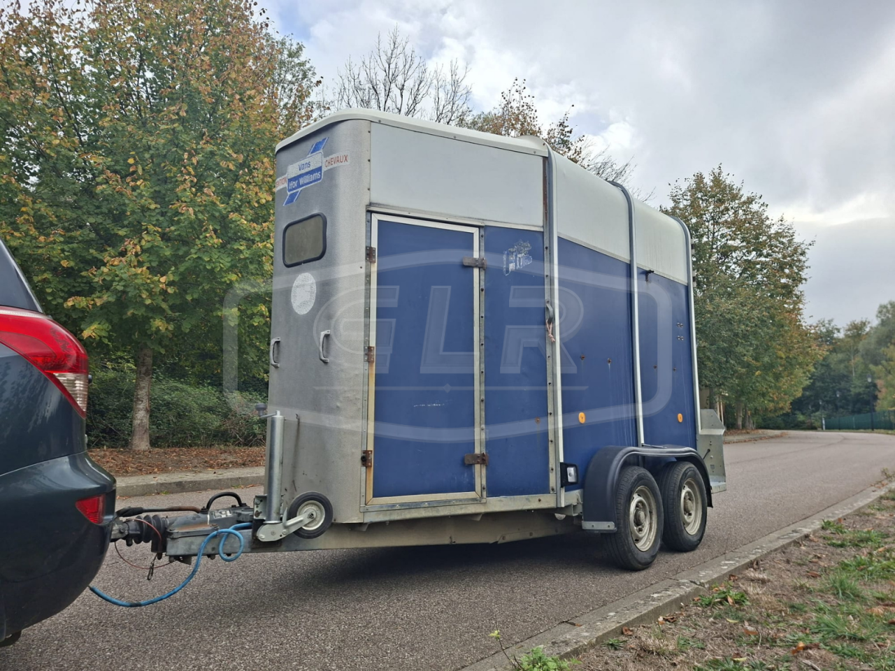 Paardentrailers Ifor Williams HB 505 2 Paarden 1998 Tweedehands