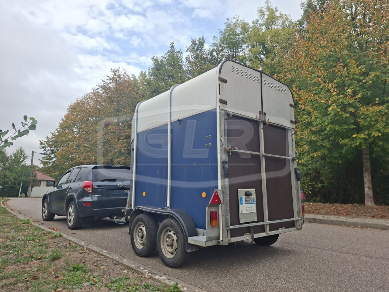 Paardentrailers Ifor Williams HB 505 2 Paarden 1998 Tweedehands