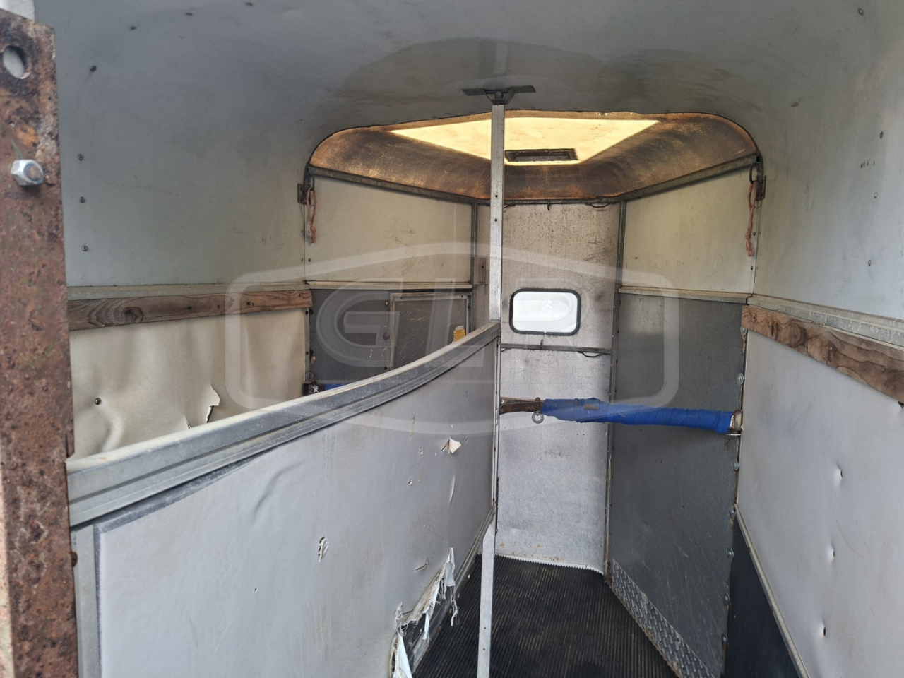 Paardentrailers Ifor Williams HB 505 2 Paarden 1998 Tweedehands