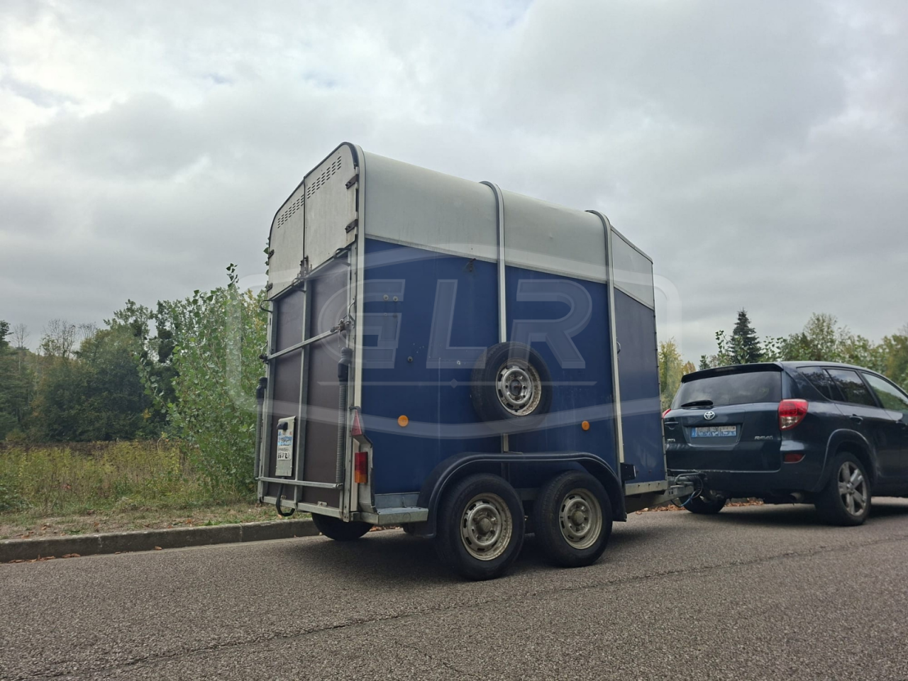 Paardentrailers Ifor Williams HB 505 2 Paarden 1998 Tweedehands