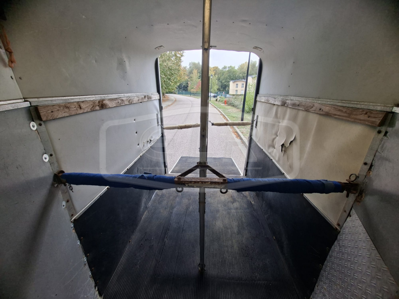 Paardentrailers Ifor Williams HB 505 2 Paarden 1998 Tweedehands