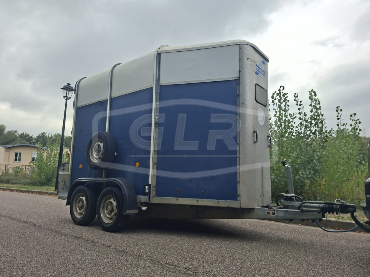 Paardentrailers Ifor Williams HB 505 2 Paarden 1998 Tweedehands
