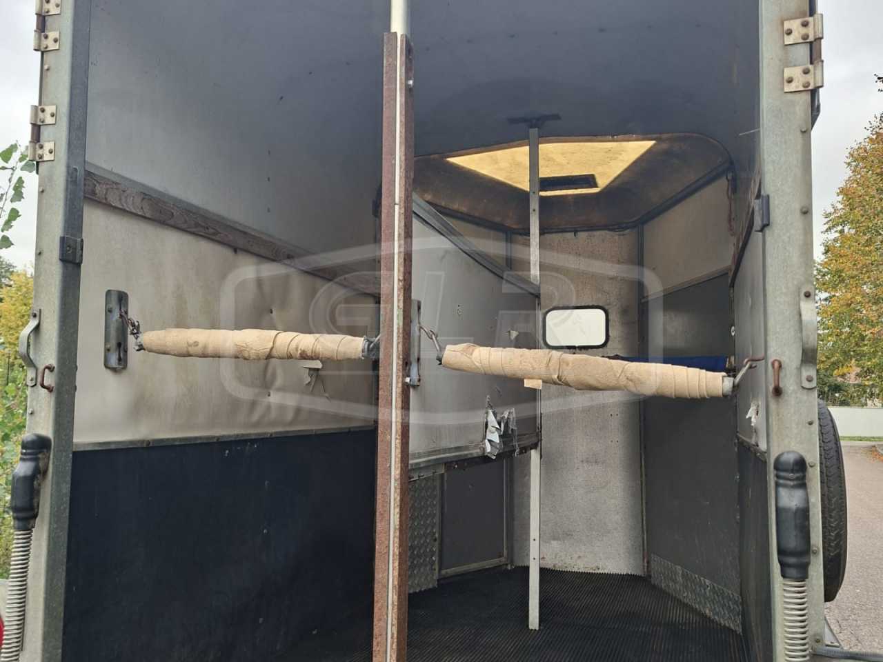 Paardentrailers Ifor Williams HB 505 2 Paarden 1998 Tweedehands