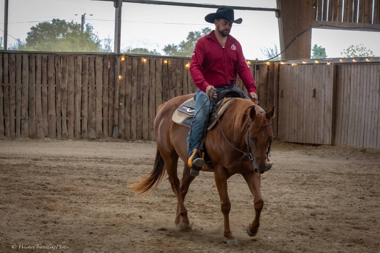 Merrie Quarter Horse Te koop 2021 Vos ,  AR ROCK STAR