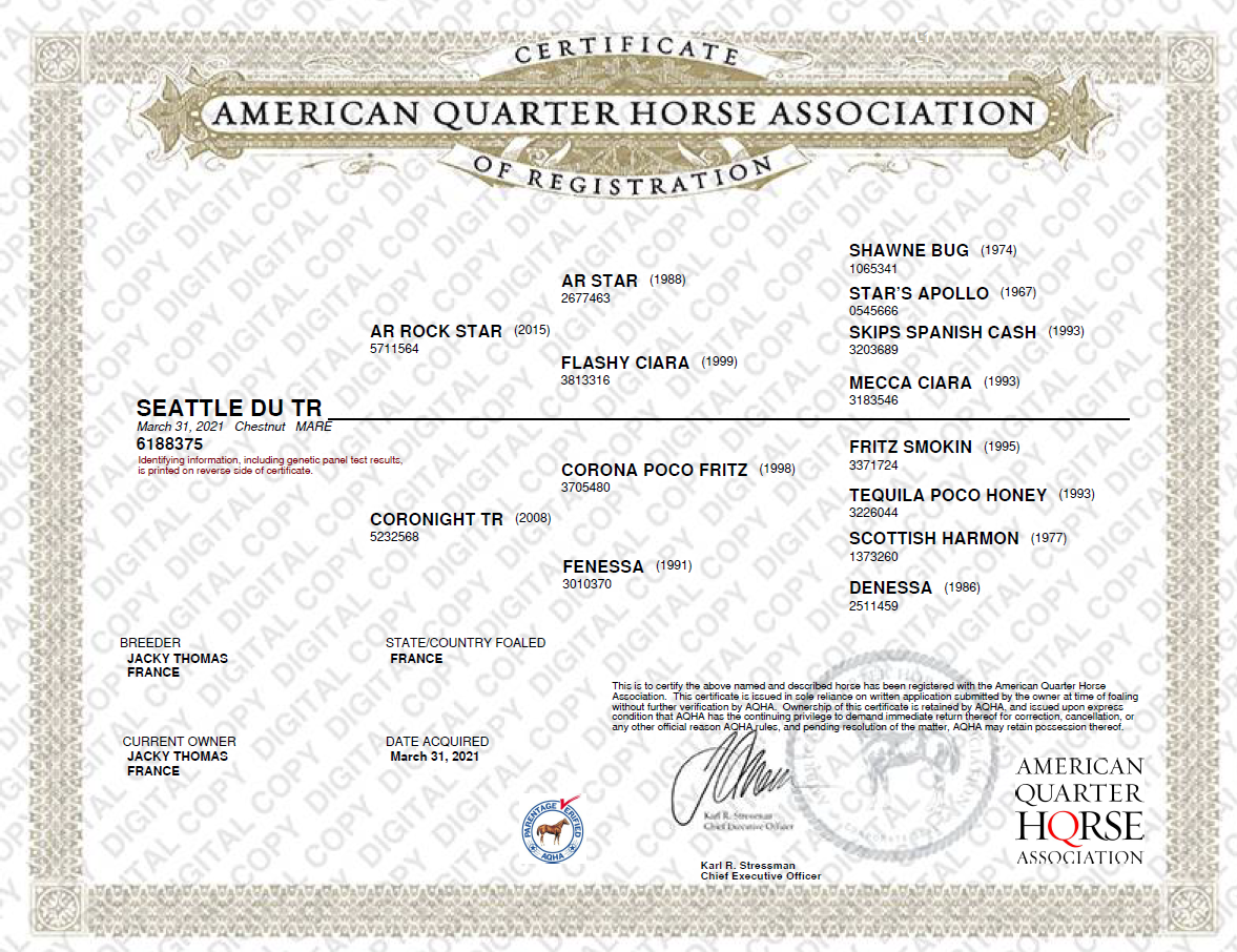 Merrie Quarter Horse Te koop 2021 Vos ,  AR ROCK STAR