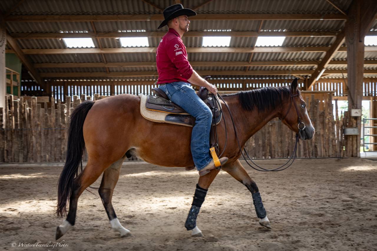 Ruin Quarter Horse Te koop 2024 Donker bruin / bai ,  MAGIC BLACK ANTINORI