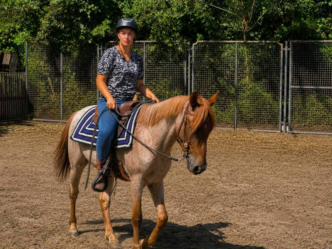 Potenti&euml;le D pony 