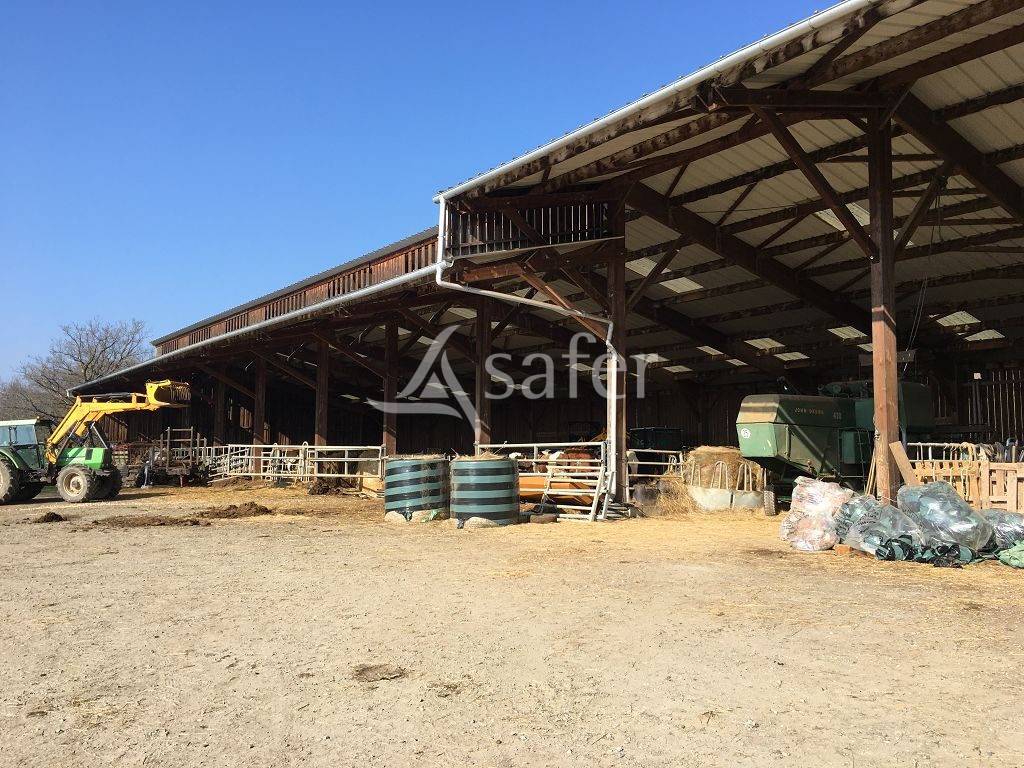 Landbouw bedrijf Koop Creuse