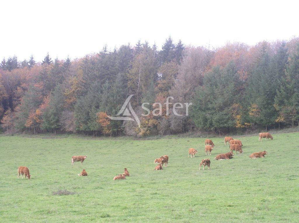 Landbouw bedrijf Koop Creuse