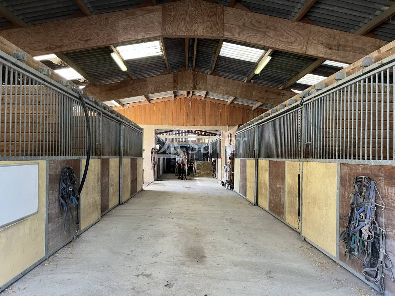 Hippisch vastgoed Koop Calvados