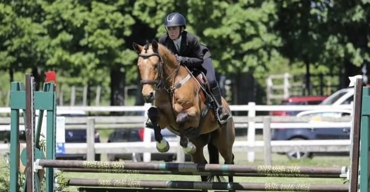 Ruin Bekend ras Te koop 2021 Isabel ,  BE CHAMPION SUPREME D'ETE
