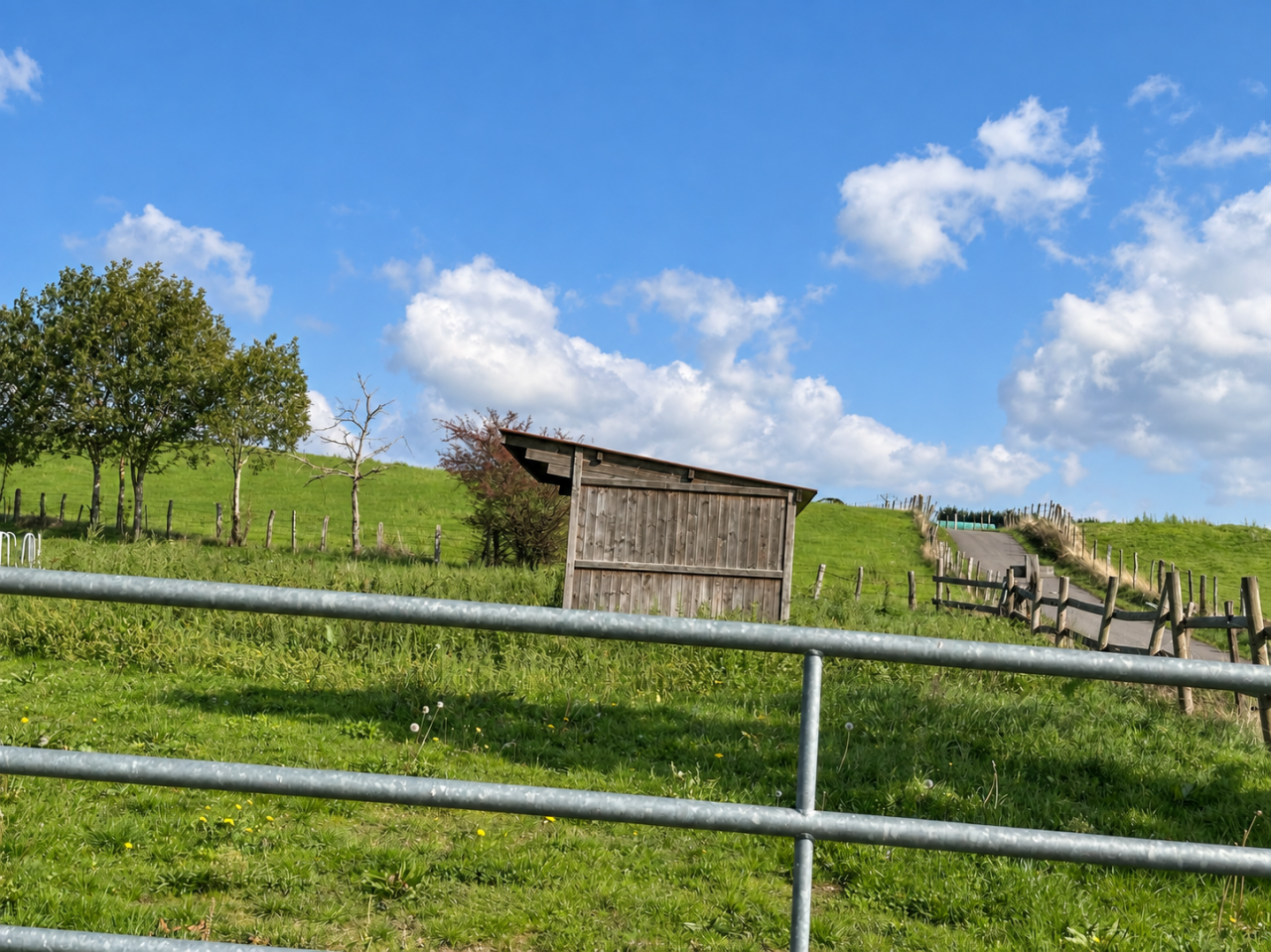 Hippisch vastgoed Koop Loire