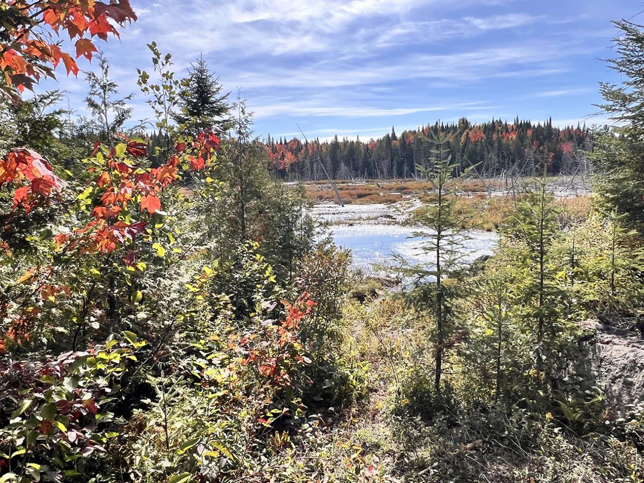 Hippisch vastgoed Koop Qu&eacute;bec