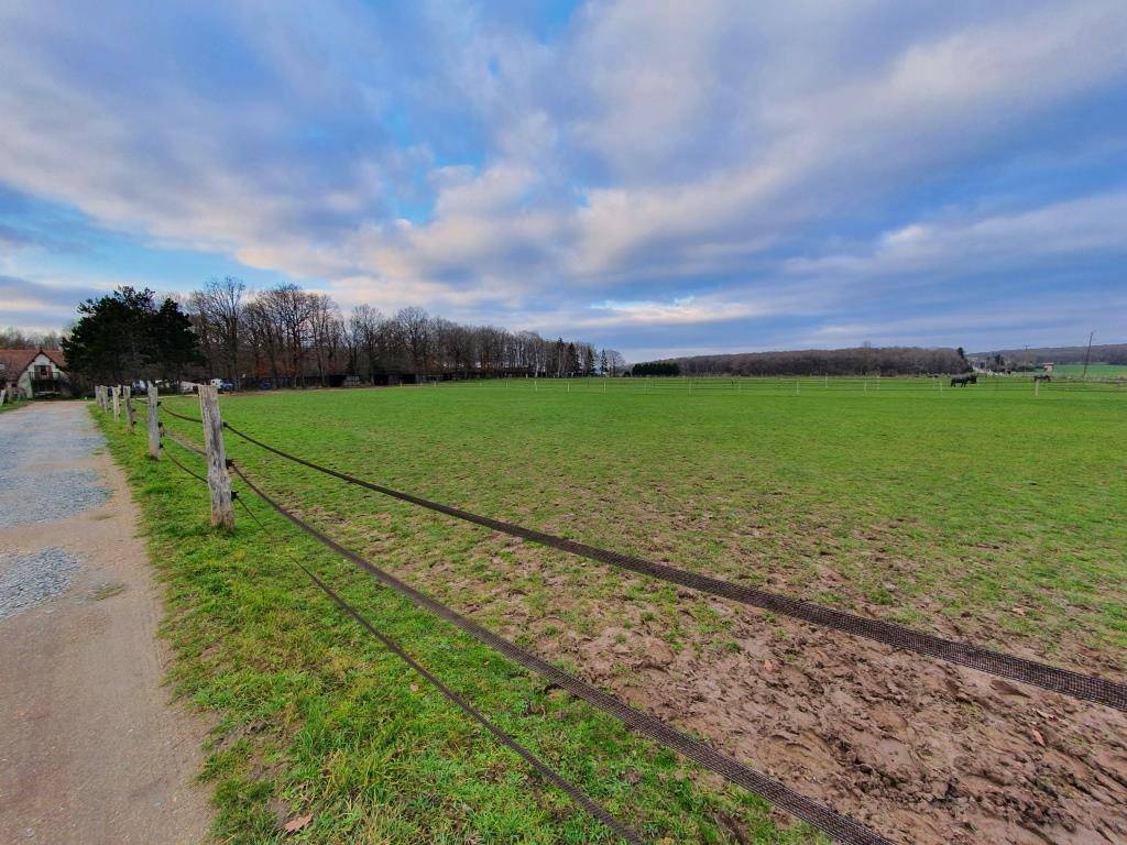 Eigenaren stal Koop Yvelines