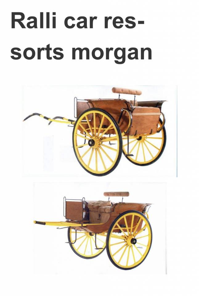 Rijtuigen - Hondenwagen  Morgan 