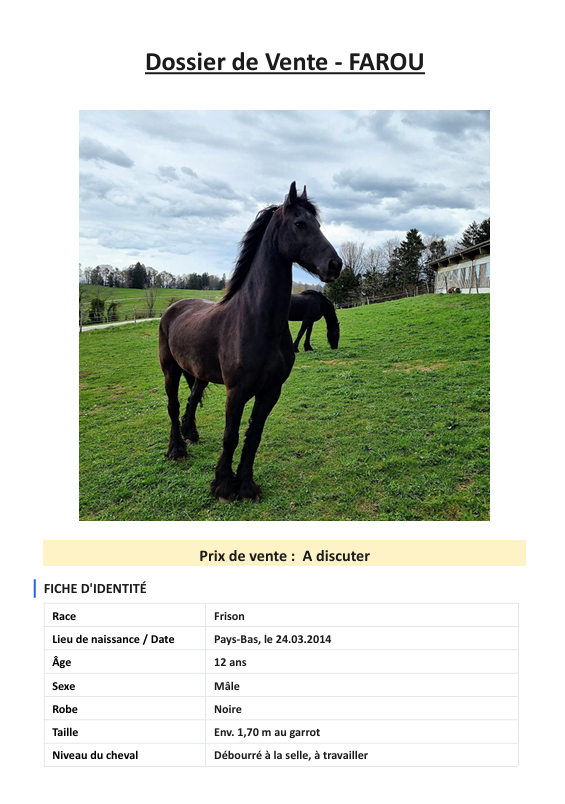 Ruin Fries Te koop 2014 Zwart