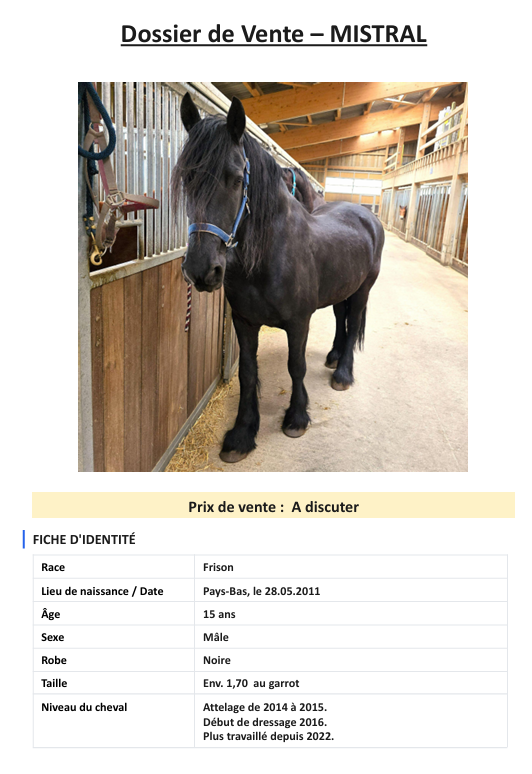 Ruin Fries Te koop 2011 Zwart