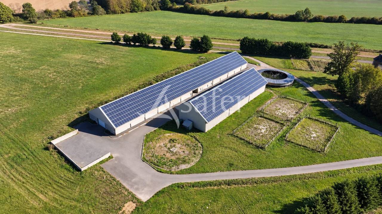 Hippisch vastgoed Koop Orne