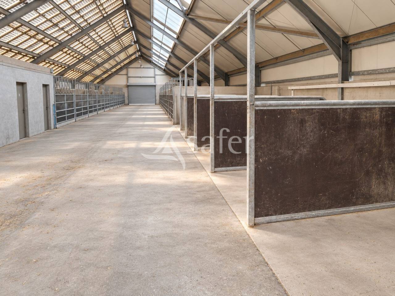 Hippisch vastgoed Koop Orne