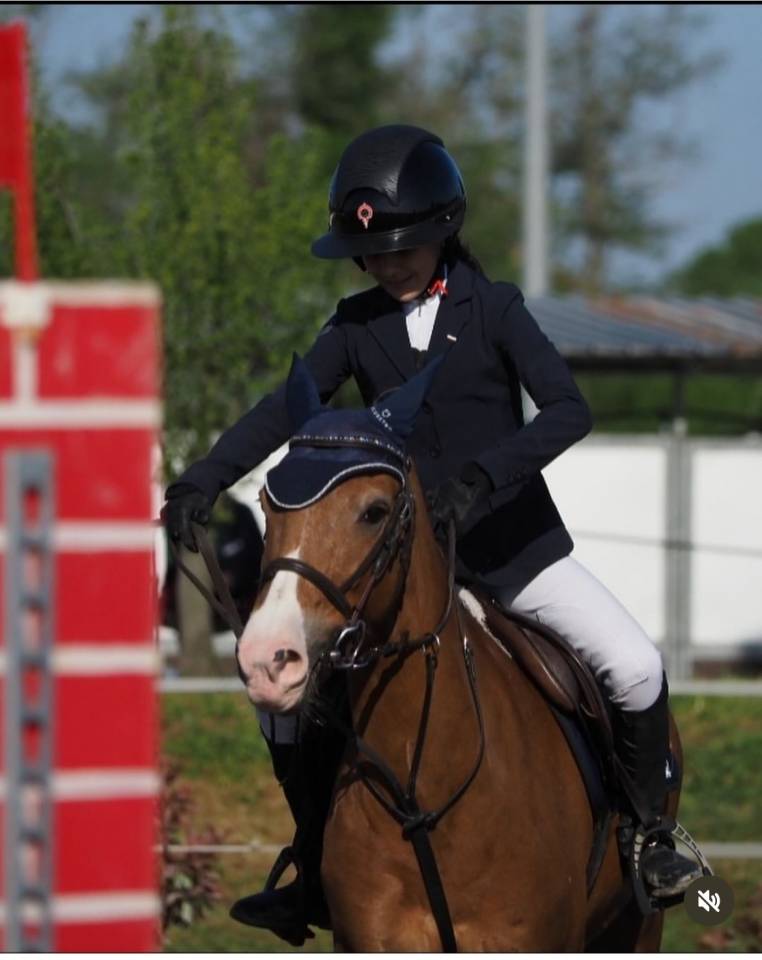 Merrie Andere pony rassen Te koop 2011 Vos ,  CHEWANO VAN DE LANGENIEUW