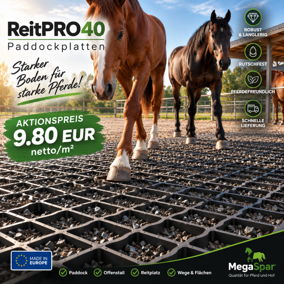 Paddockplaten voor paarden kopen -&nbsp;Grasroosters
