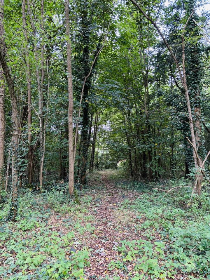 Eigenaren stal Koop Loiret