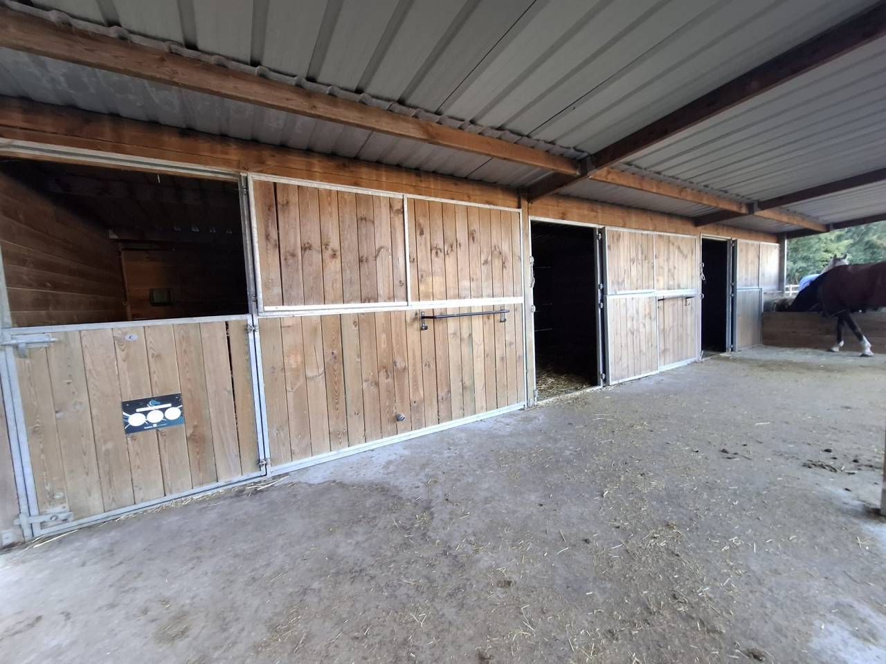 Eigenaren stal Koop Loiret
