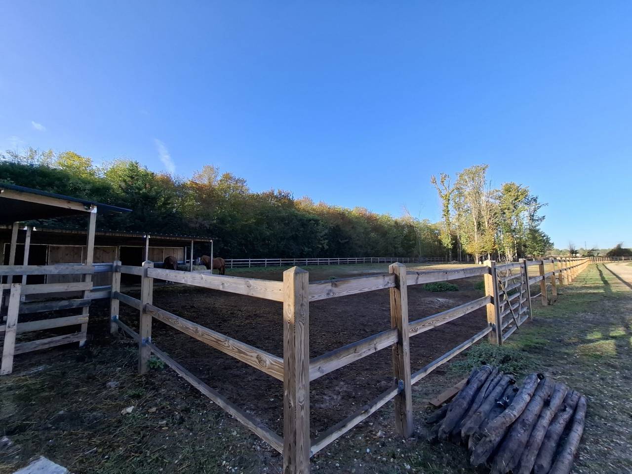 Eigenaren stal Koop Loiret