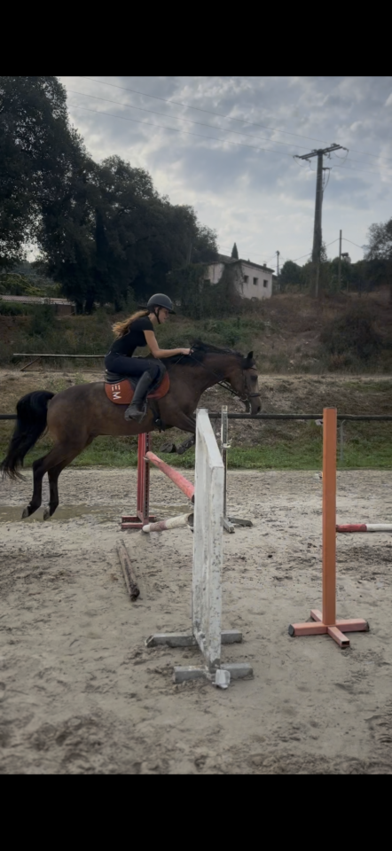 Ruin Andere pony rassen Te koop 2018 Isabel
