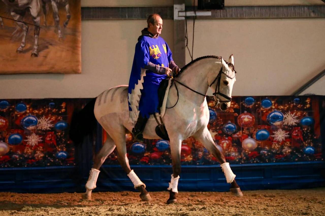 Ruin Lusitano Te koop 2017 Isabel ,  HABLADOR