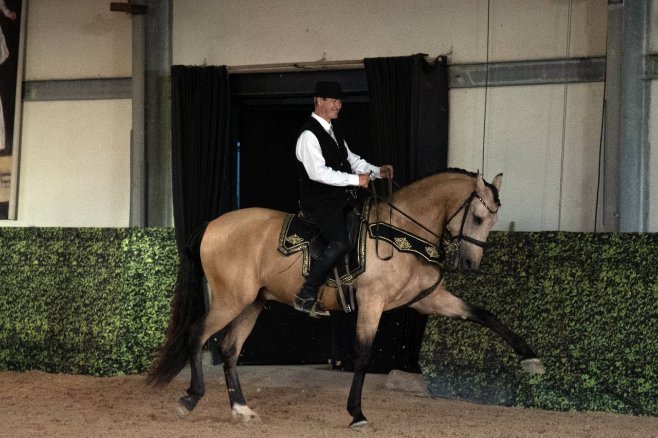 Ruin Lusitano Te koop 2017 Isabel ,  HABLADOR
