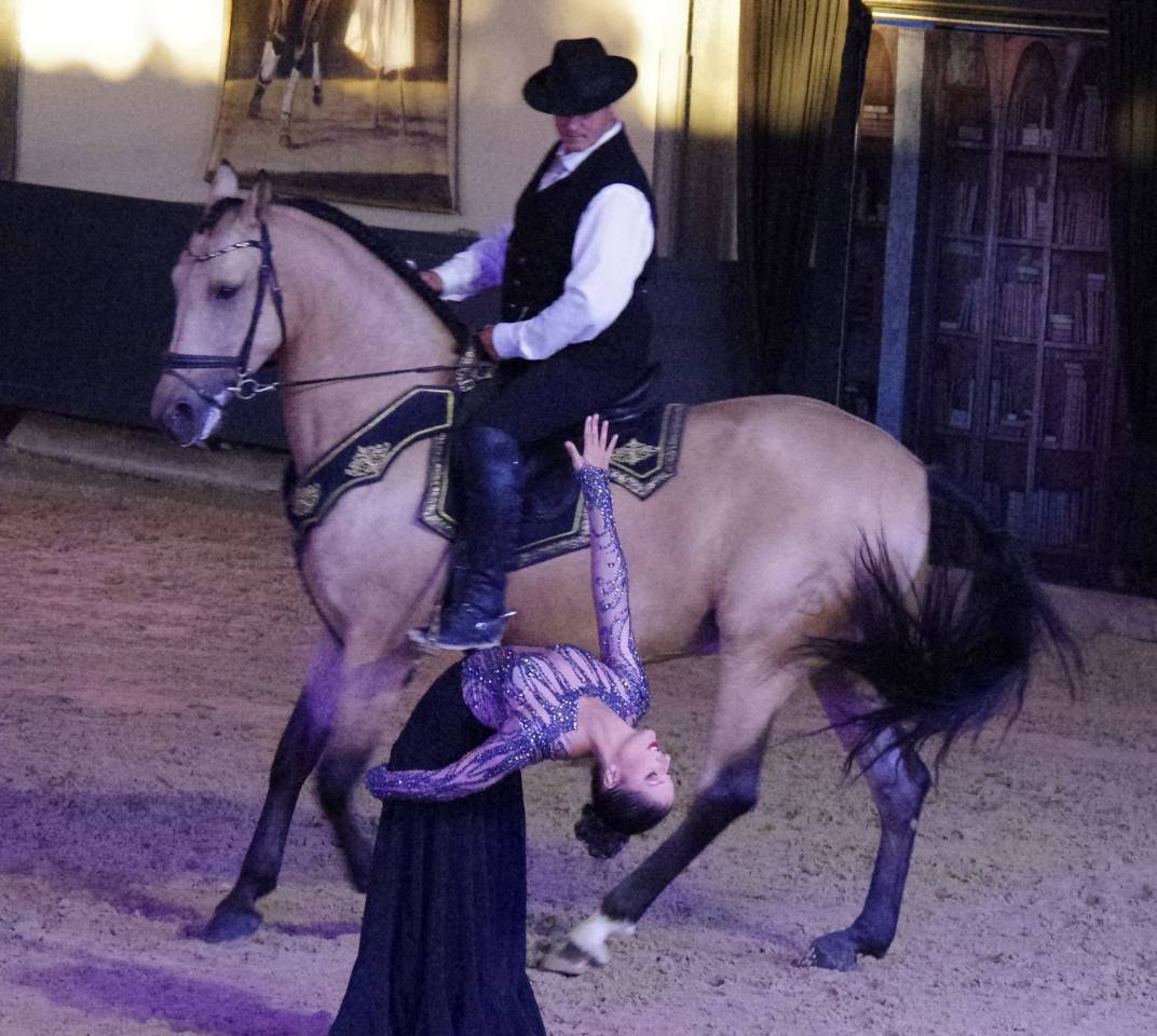 Ruin Lusitano Te koop 2017 Isabel ,  HABLADOR
