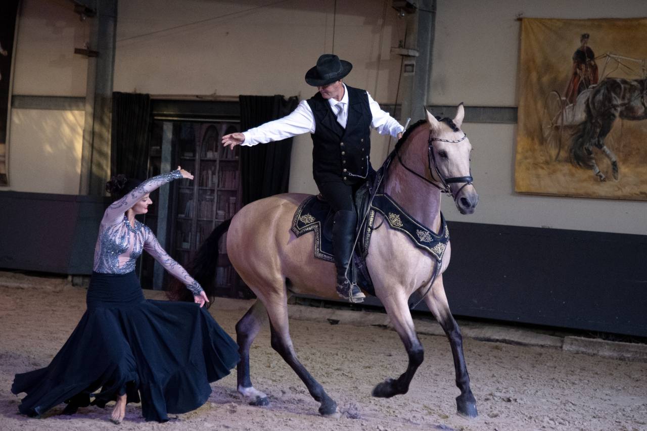 Ruin Lusitano Te koop 2017 Isabel ,  HABLADOR
