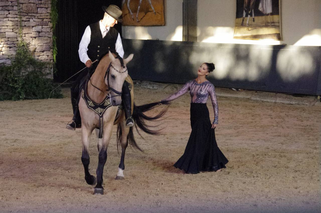Ruin Lusitano Te koop 2017 Isabel ,  HABLADOR