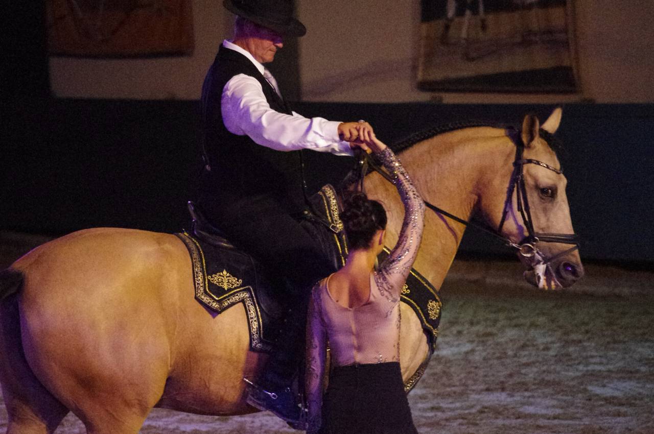 Ruin Lusitano Te koop 2017 Isabel ,  HABLADOR