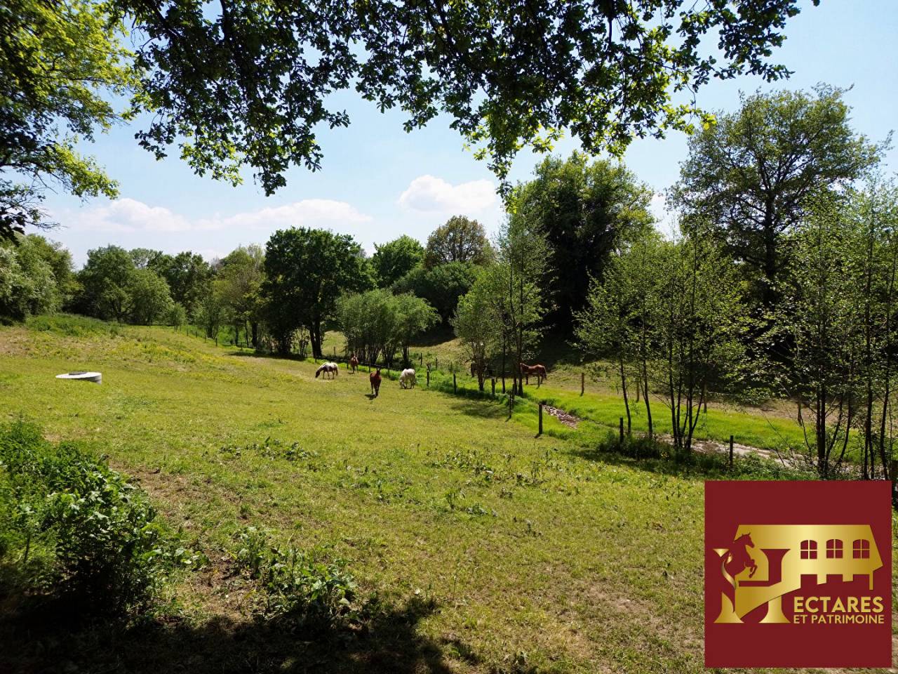 Ruiterclub Koop Maine-et-Loire