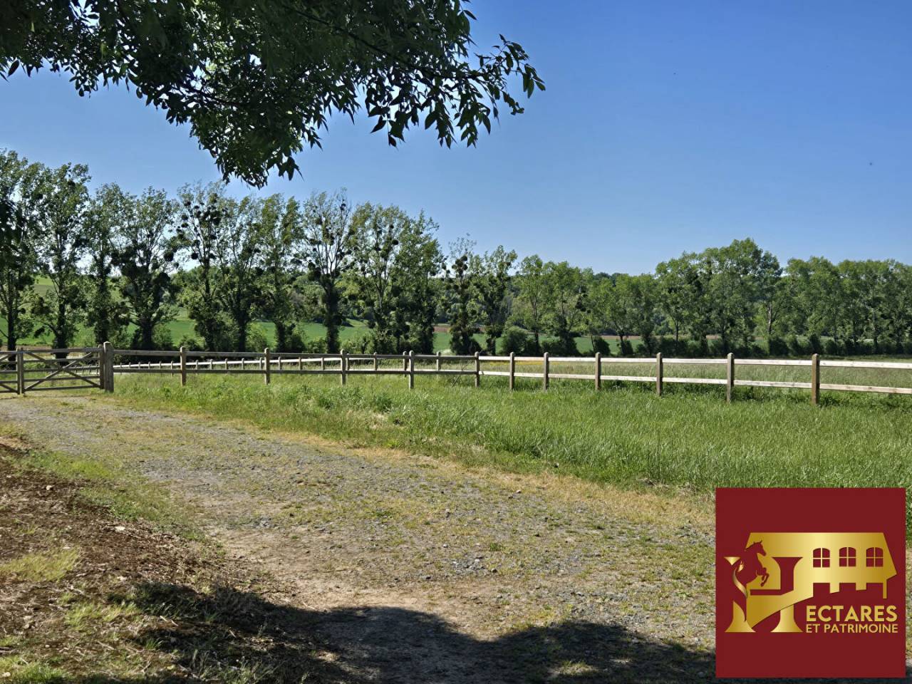 Paarden accommodatie Koop Vend&eacute;e
