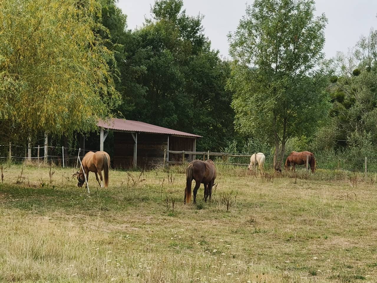Hippisch vastgoed Koop Dordogne