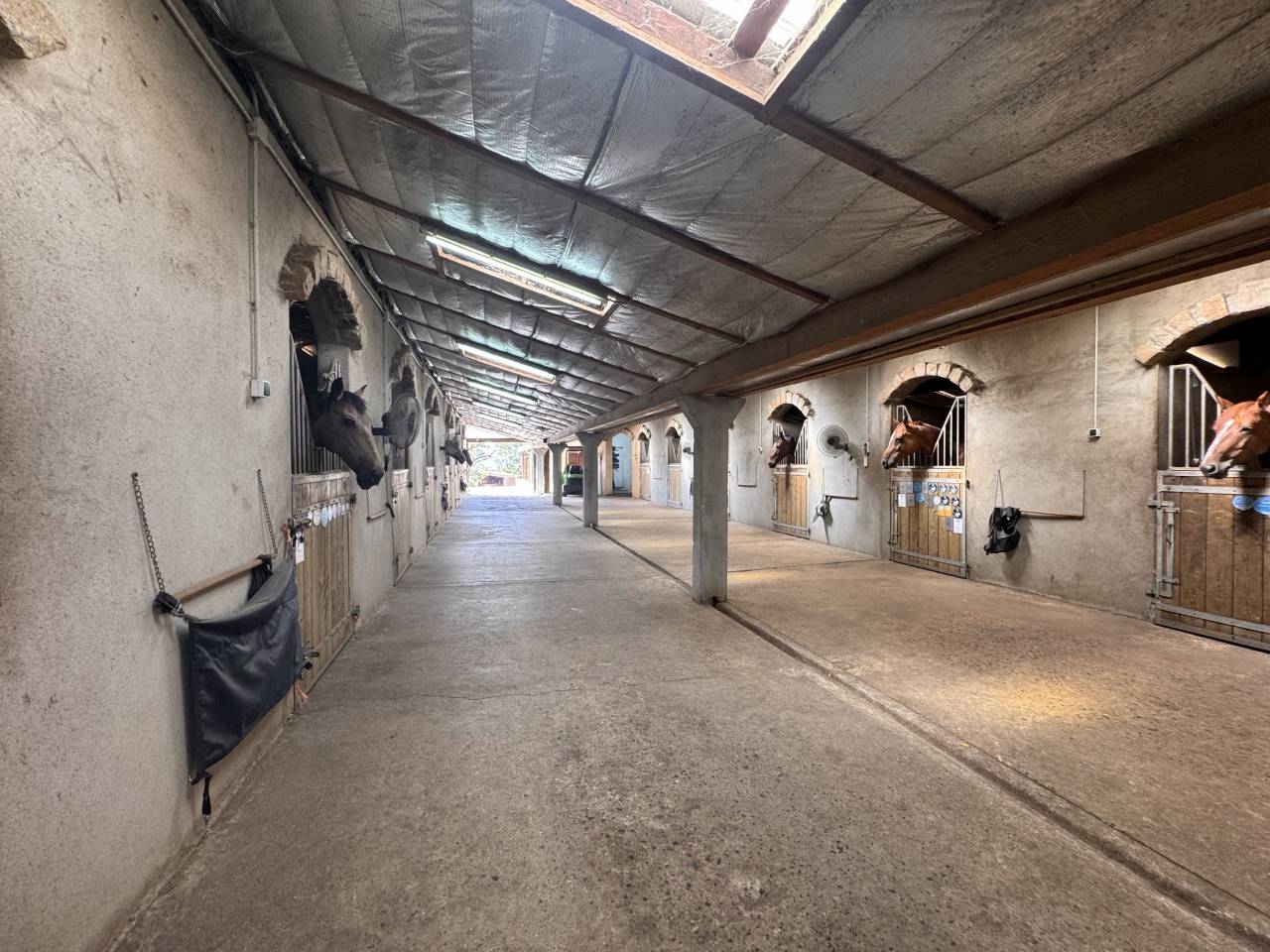 Eigenaren stal Koop Loire